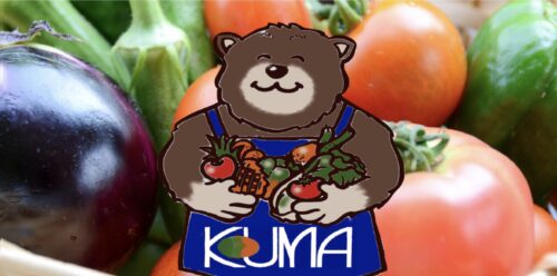 有限会社八百熊本店